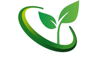 現化化農業(yè)大棚建